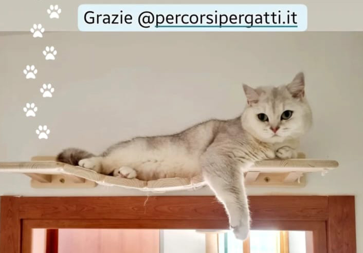 gli spazi
